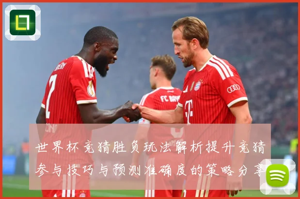 世界杯竞猜胜负玩法解析提升竞猜参与技巧与预测准确度的策略分享数据研判