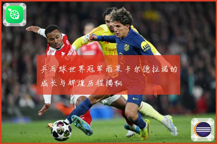 乒乓球世界冠军雨果卡尔德拉诺的成长与辉煌历程揭秘